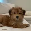 noelle.parks - @noelle.parks - TikTok