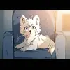 Corgi power - @wagnernoelle - TikTok