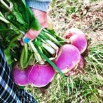 Noelle Wagner - @grownandgatheredheirloomfarm - Instagram