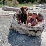 Molly Noelle Ware - @mollynoelleware - Instagram