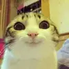 user4714059201552 - @noellewareod6asj - TikTok