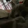 noellewebb6 - @noellewebb6 - TikTok