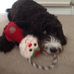 Noelle Weekes - Facebook