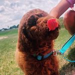 Journey Noelle Winter - @mywinterjourney - Instagram