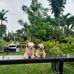 Noemi Campos - Facebook