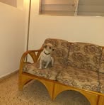 Noemi Cotto Torres - Facebook