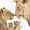 diamonds.92 - @noemi.diamonds - TikTok