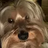 Foxy Noemi - @foxy.noemi - TikTok