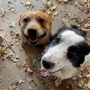 noemig_ - @noemigalarza_ - TikTok