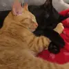 Noemi Lagos - @noemi.lagos4 - TikTok