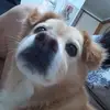 noemilagos79 - @noemilagos79 - TikTok