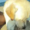 noemi leonardi - @noemileonardi06 - TikTok