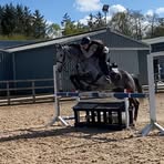 Naomi Mccormack - Facebook