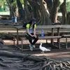 Noemi Mercado - @noemi.mercado66 - TikTok