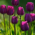 Noemì Nàjera Guzmàn - @najera_guzman - Instagram