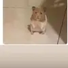 Noemii - @noemi_paez09 - TikTok