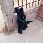 Noemí Peralta - @noemiperalta986 - Instagram