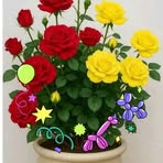 Noemi Ponce - Facebook