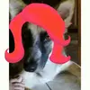 noemi rizzo  - @noemiriz - TikTok