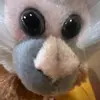 noemiserrano - @noemiserrano23 - TikTok