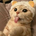 Noemi Smith - @noemi.smith.3910 - Instagram
