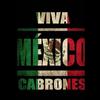 Noemi 🌺🇲🇽 - @noemitrejo83 - TikTok