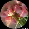 Noemy Alfaro - @noemy.alfaro3 - TikTok