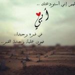 Noha Eid - @nohaeid546 - Instagram