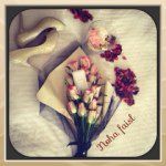 noha faisal - @nohafaisal - Instagram