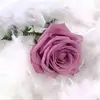 Noha Hassan - @noha.hassan361 - TikTok
