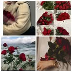 Noha Hassan Ali - Facebook