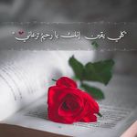Noha Mohamed - @noha.mohamed12552 - Instagram