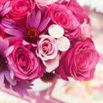 Noha Soliman - @nohasolimana10 - Instagram