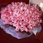 Noha Soliman - @soliman_noha - Instagram