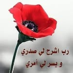 Noha Soliman - @noha__soliman - Instagram