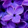 Noha Soliman - @noha.soliman71 - TikTok
