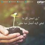 Noha Soliman - @noha.soliman.1232 - Instagram