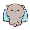 nohemimunoz25 - @nohemimunoz91 - TikTok