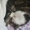 Nohemy López - @nohemylopez95 - TikTok