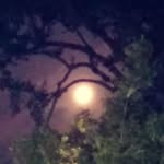 NOLA Witch Craft - @nolawitchcraft - Instagram