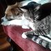 Nola Kerford - Facebook