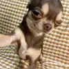 user7811510212195 - @nolashaffer65yzao - TikTok