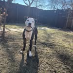 Nola Marie Wabansia Collado Sierra Wolfe - @nola_marie_wabansia_ - Instagram