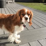Nolan Barton - @bartonnolan - Instagram