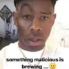 nolanseeberger - @itsnolan420 - TikTok