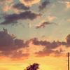 Nolan Butcher - @nolan.butcher - TikTok