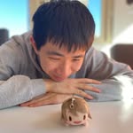 Nolan Chan - @tenpochan3 - Instagram