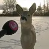 nolanchandler07 - @nolanchandler07 - TikTok