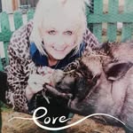 Doreen O'Connell Nolan - @doreenoconnellnolan - Instagram