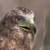 ernstnolan - @ernstnolan - TikTok